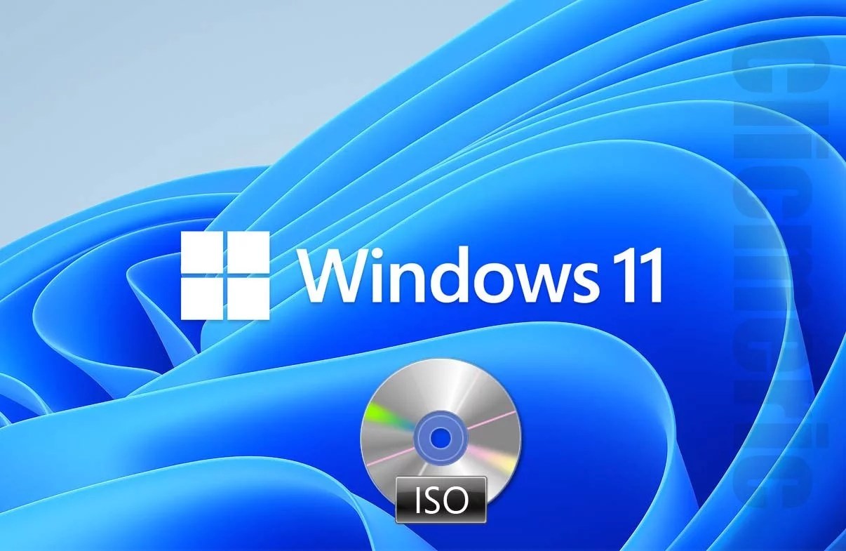 Windows 11 iso google drive panacredits
