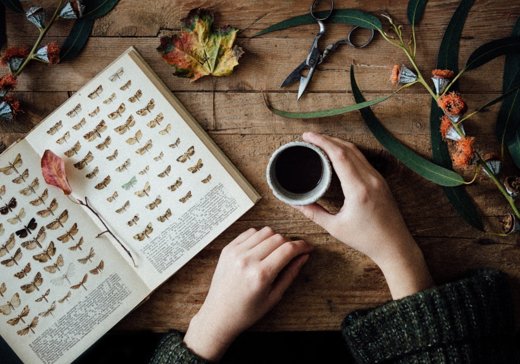 Tips on Flat Lay Photography — Clideo