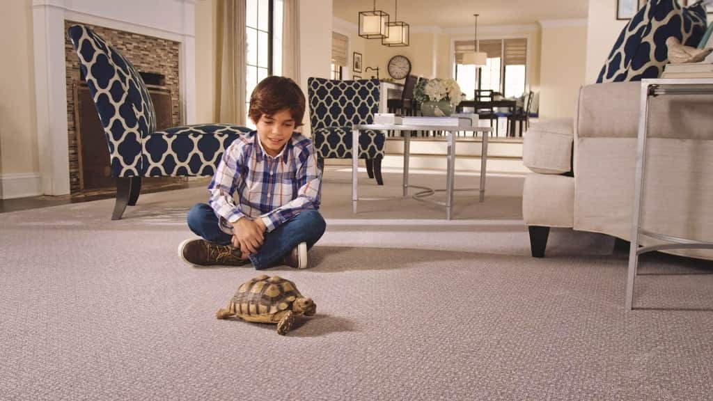 The Carpets That Resist Stains The Best