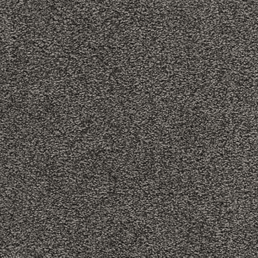 Carpet Specials and InStock in Franklin, TN Carpet Den Interiors