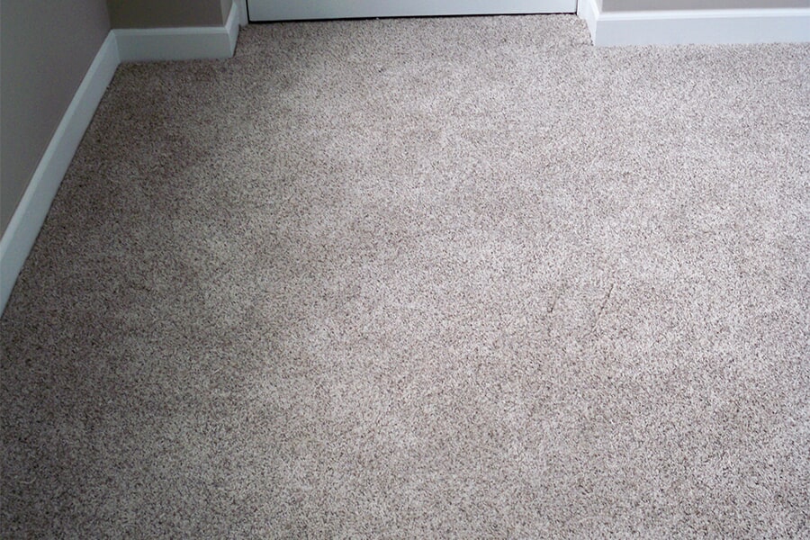 Is Carpet Taxable In Florida at Hazel Stockton blog