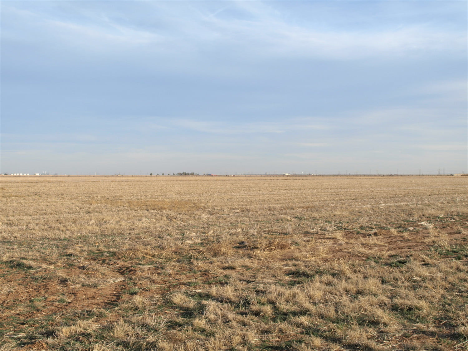 316 +/ Acres in Hale Co. Clift Land Brokers
