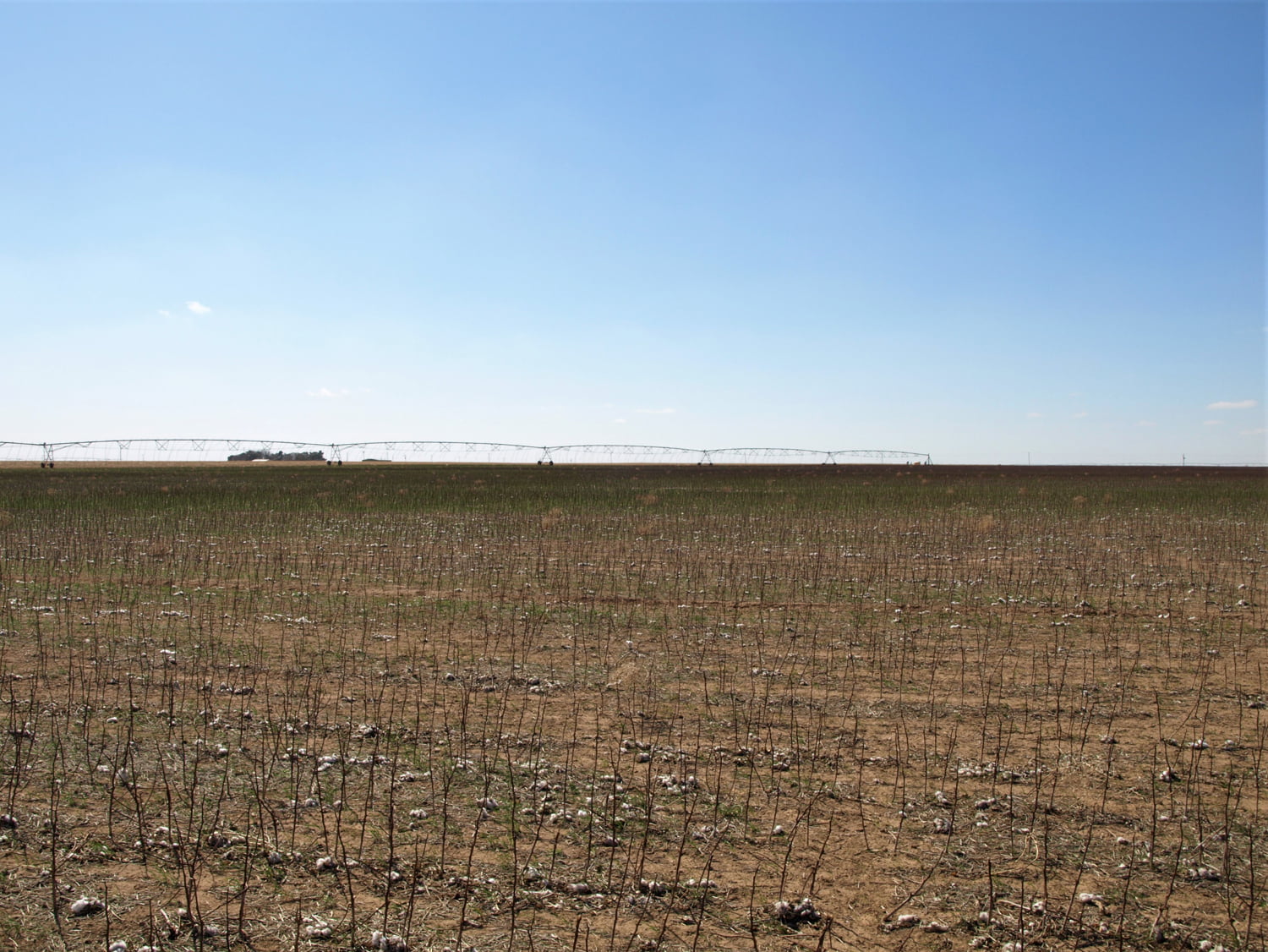 Olton TX Irrigated Farm Clift Land Brokers