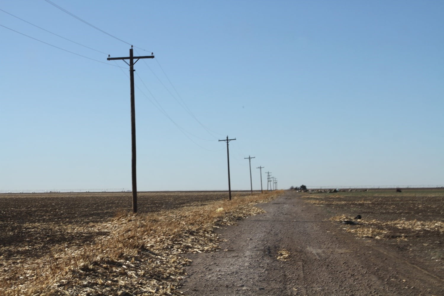 Clift Land Brokers Irrigated Farmland in Ochiltree County
