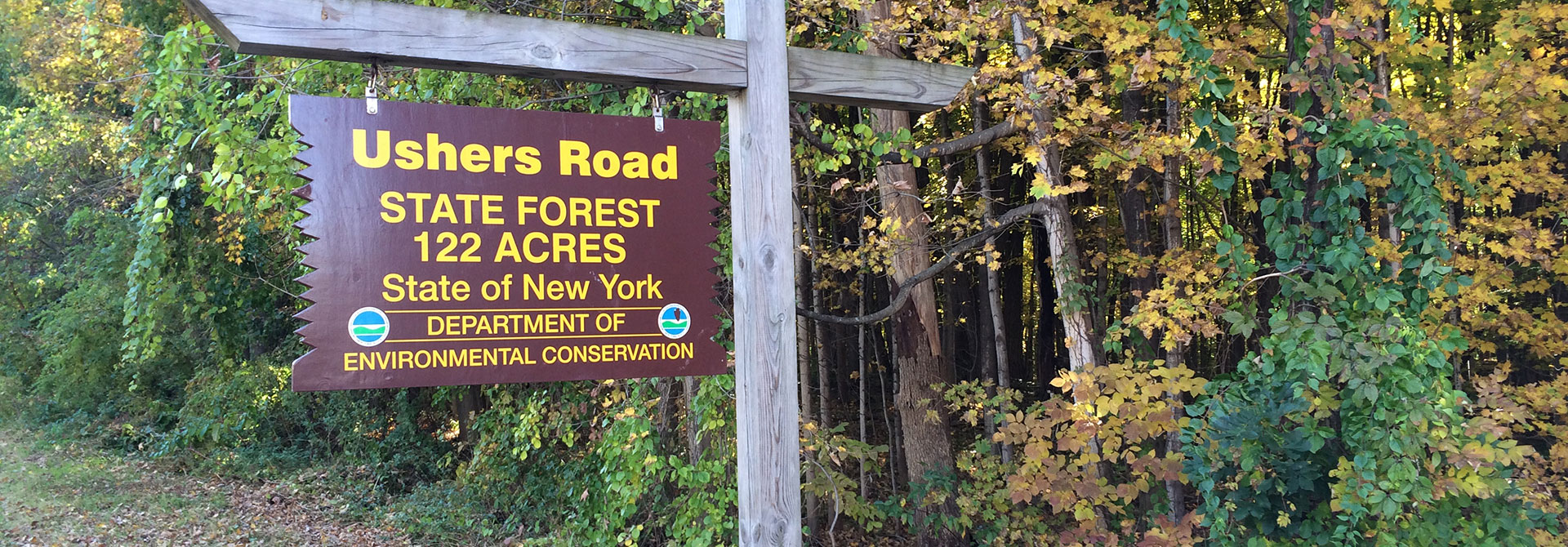 Ushers Road State Forest Clifton Park Open Spaces