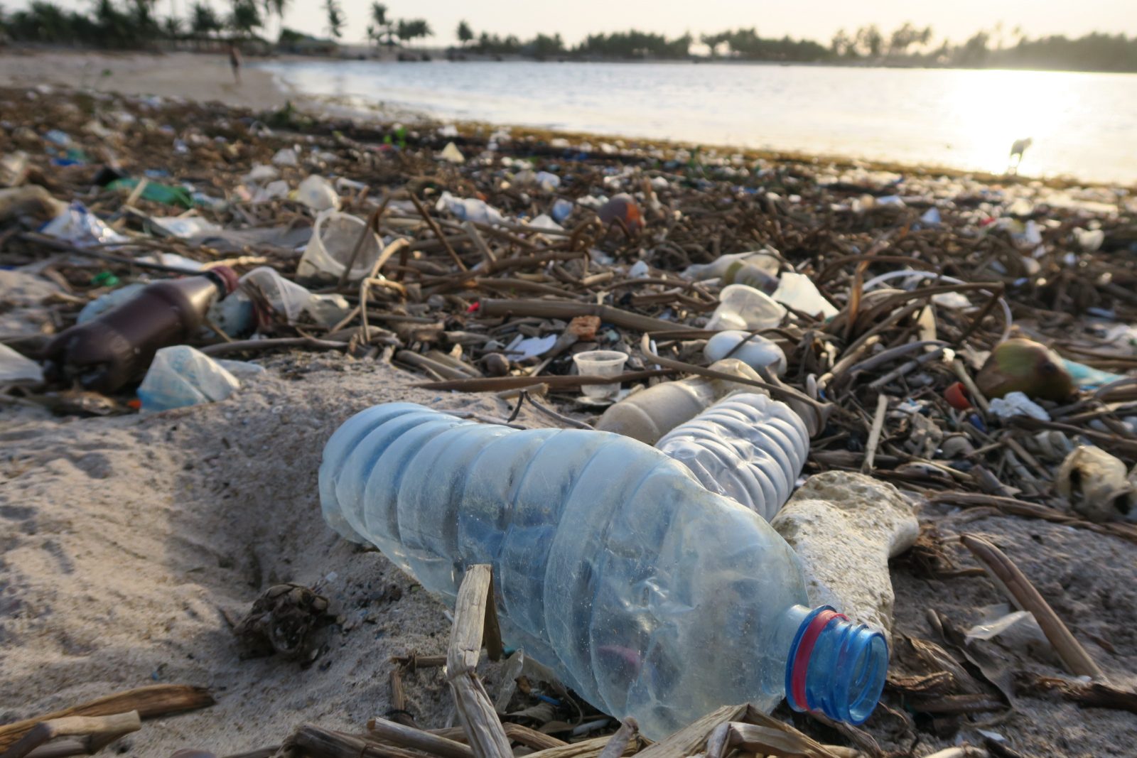 What can we do about global plastic pollution? Center for Leadership