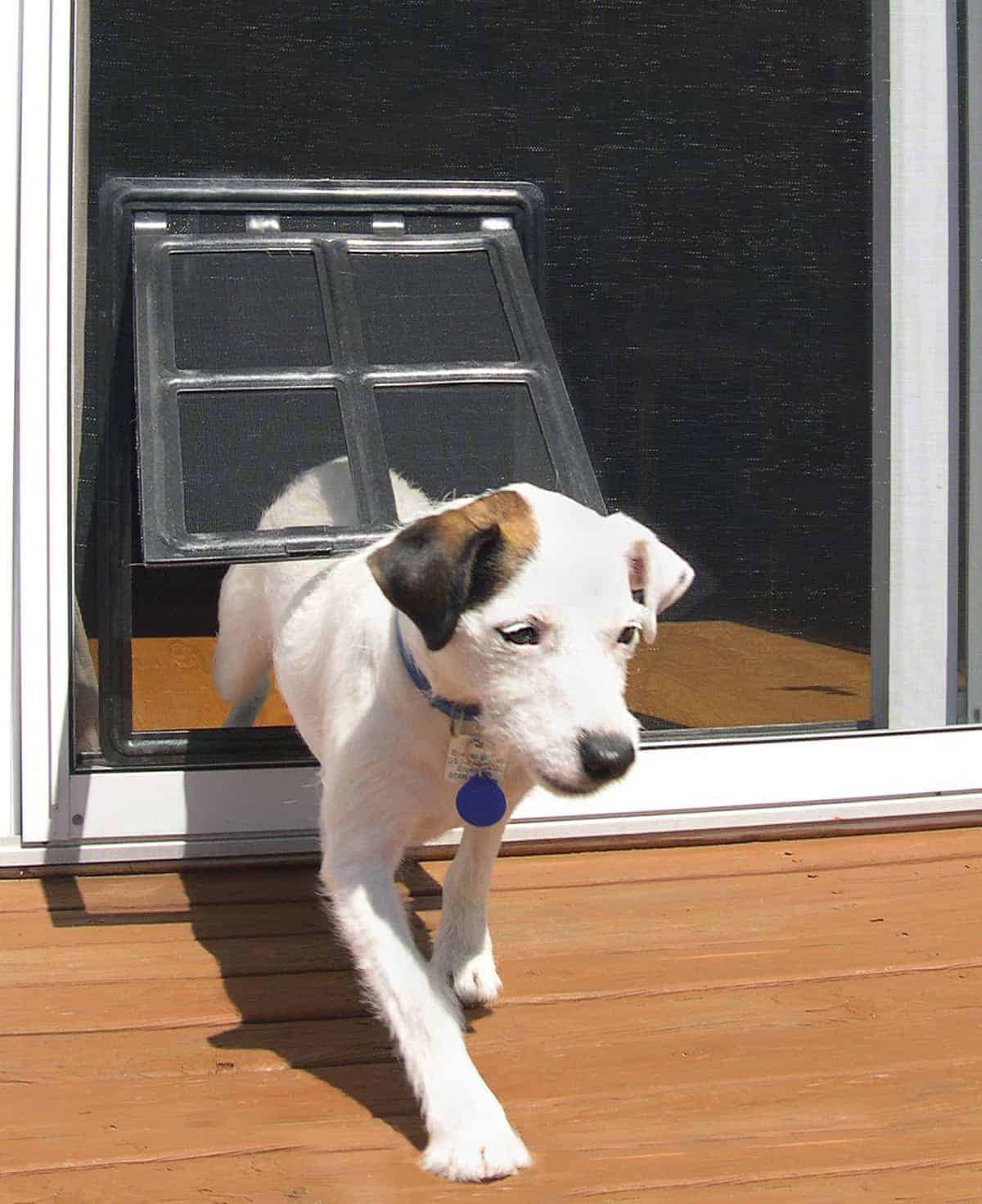 Pet Door For Screen 8in X 10in Black Climaloc Solutions