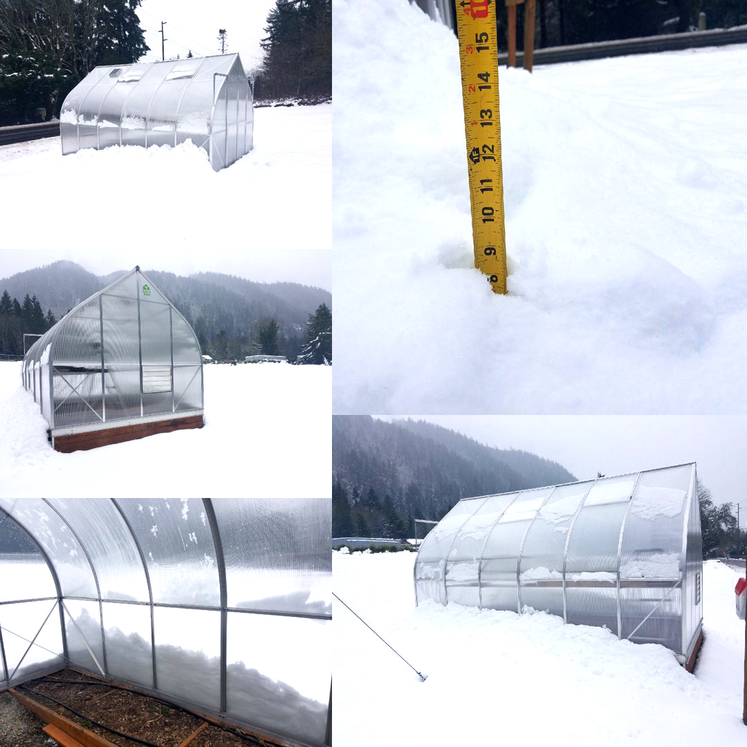 Greenhouse Heating Heating systems during winter