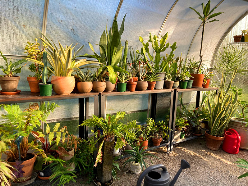 A Practical Guide To Greenhouse Gardening - ClimaPod Tips