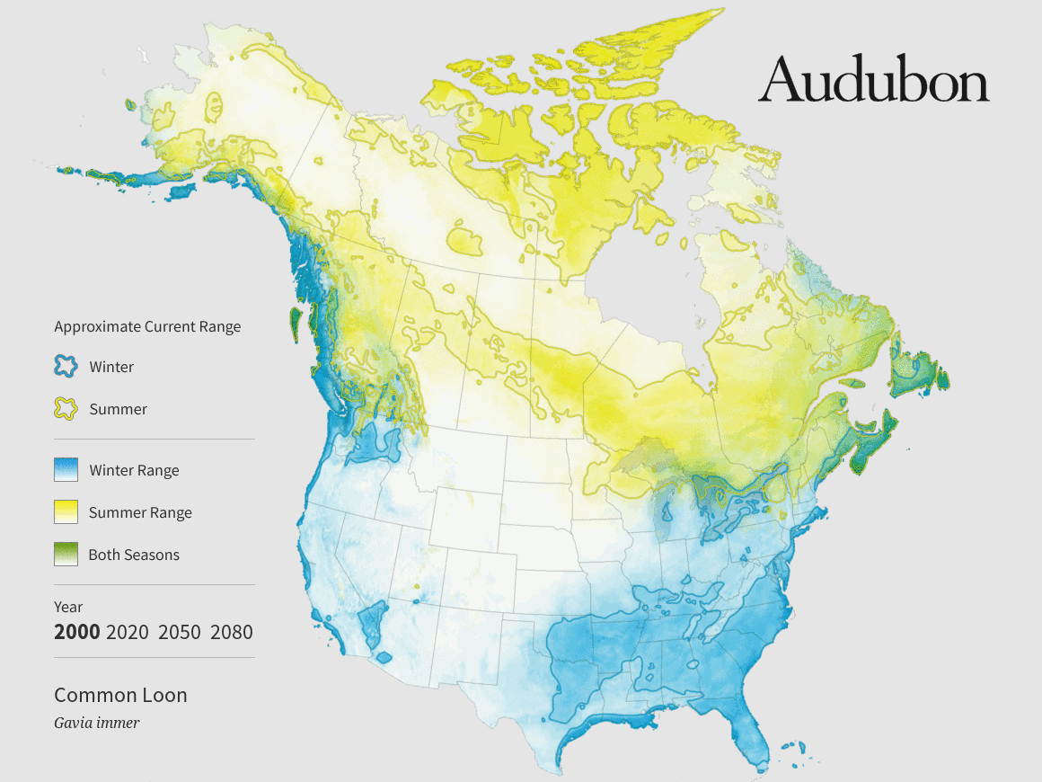 The Audubon Report at a Glance The Audubon Birds & Climate Change Report