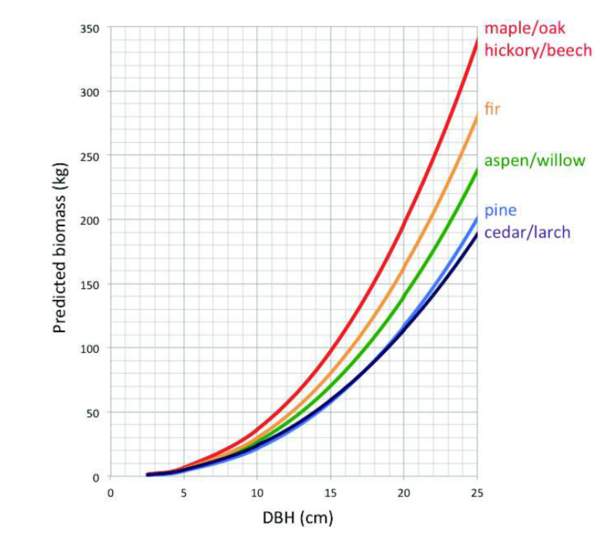 Photosynthesis Calculating Biomass and Carbon Storage in Trees Earth