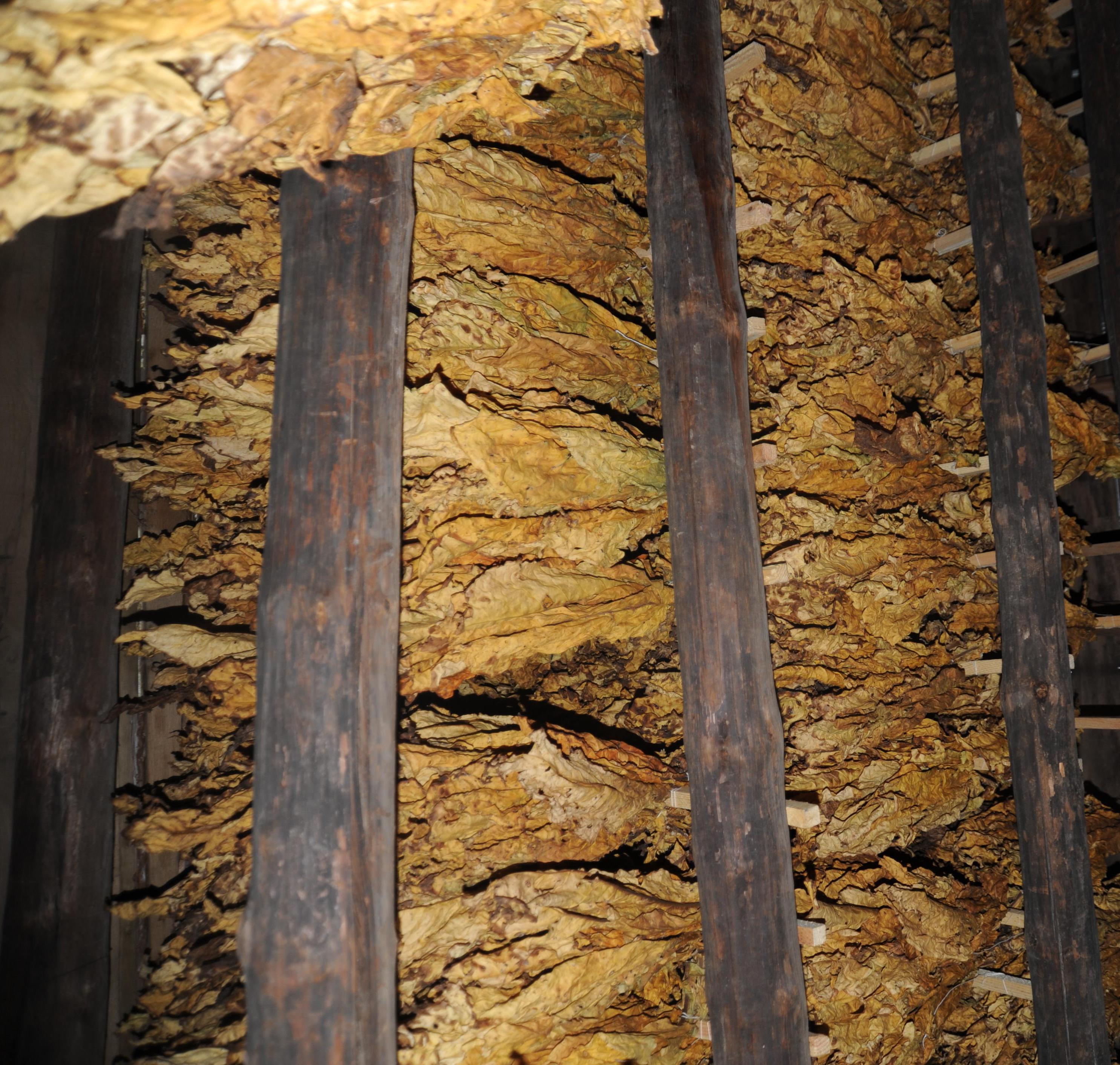 Convection North Carolina Climate Office