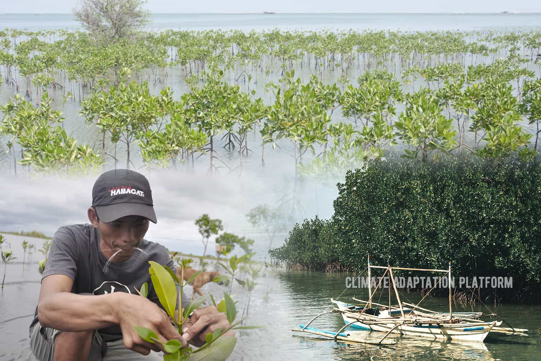 Climate Resilience Using Green and Grey Solutions Climate Adaptation