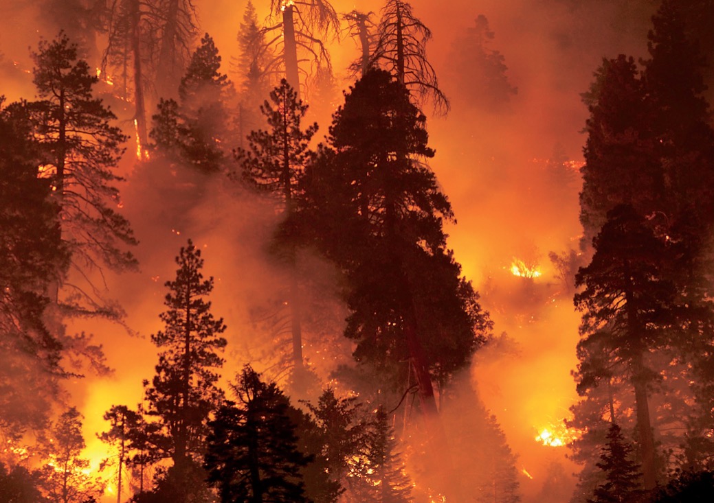 NPR Paints Wildfire Apocalypse As Droughts, Fires Decline Climate
