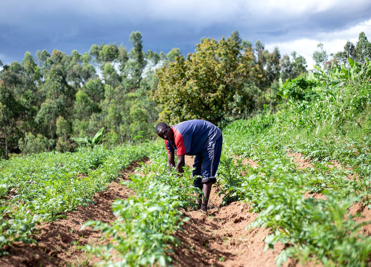 Sans Evidence, Outlet Claims Climate Change Will Leave 200M Africans