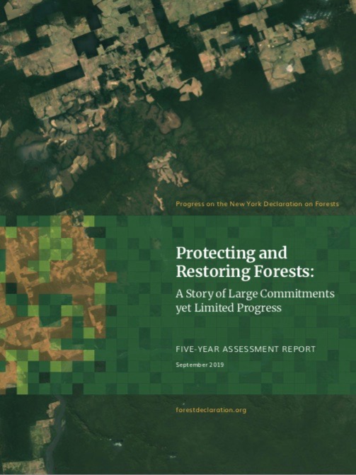 NYDF 2019 Progress Report Protecting and Restoring Forests Climate Focus