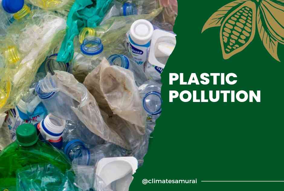 These 12 countries responsible for 60 of world’s mismanaged plastic