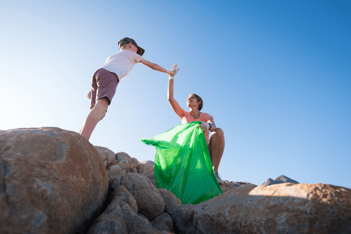 A Comprehensive Guide to Excel in Plant Biology Jobs (2024)