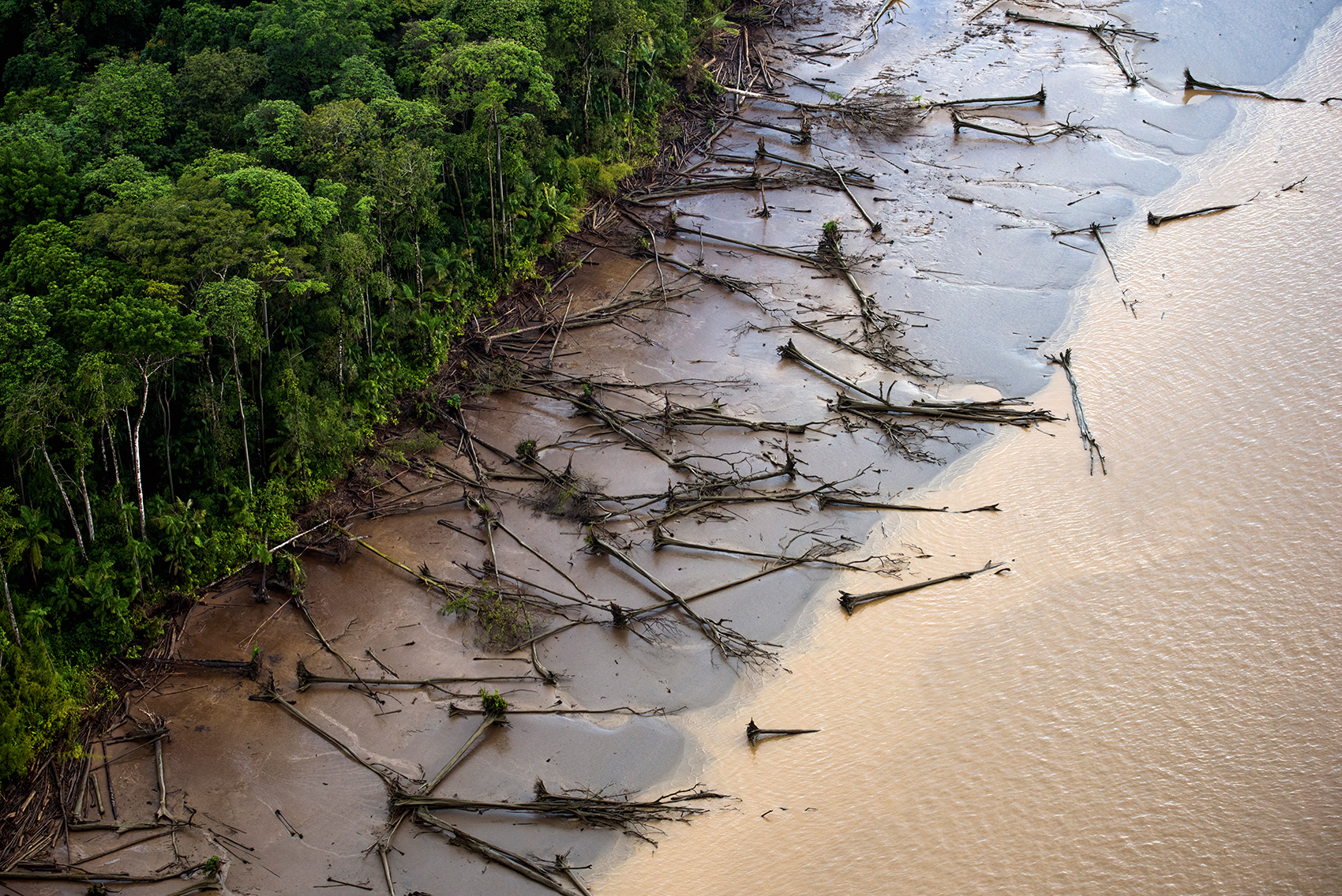 Effects of Deforestation Impact on the Environment Climate Transform