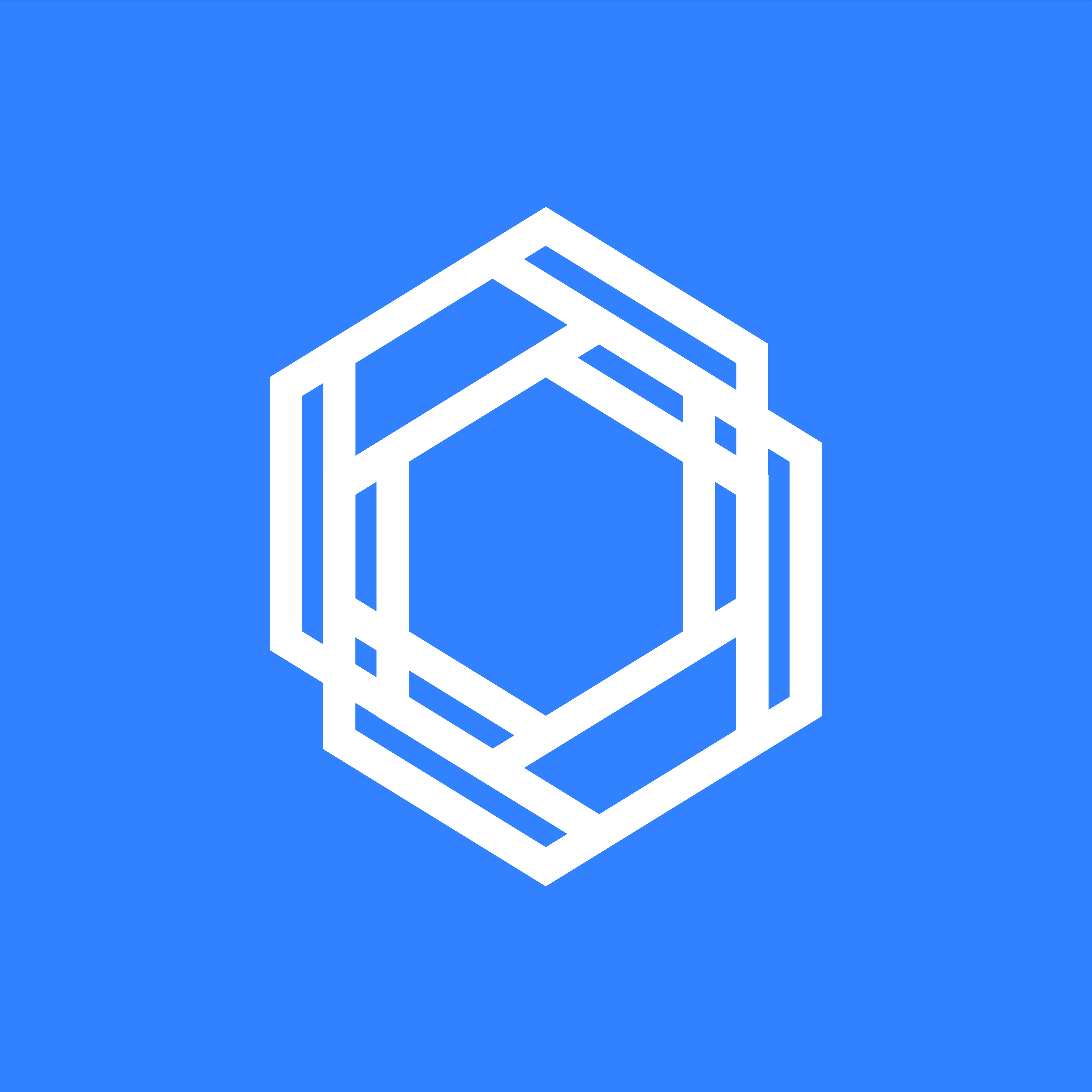 Carbon Champions Lead the Charge for Sustainable Future