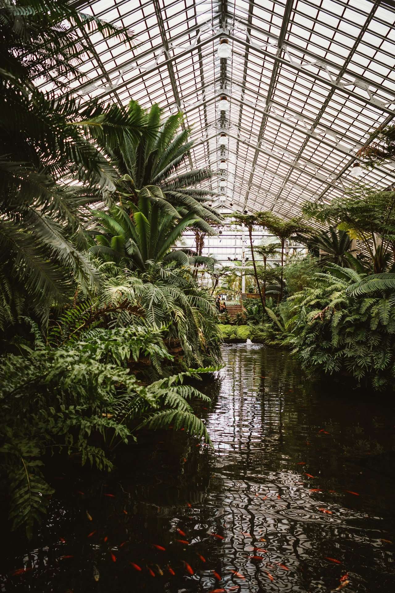 Greenhouses at Brooklyn Botanical Gardens Mimic Greenhouse Gases