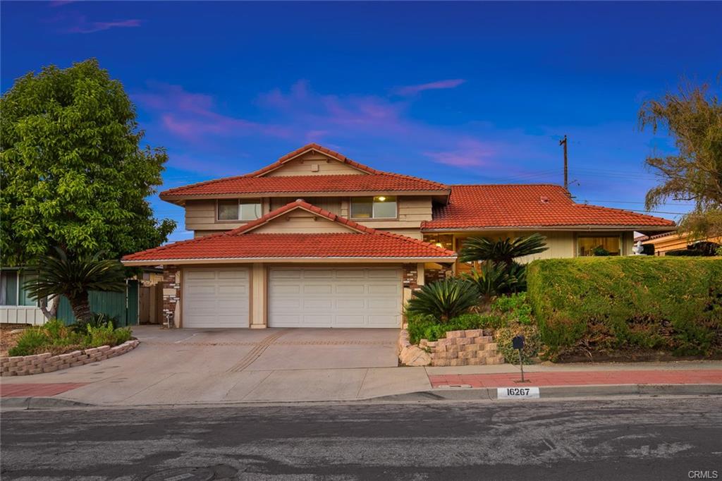 16267 Santa Bianca Drive Cecilia Young