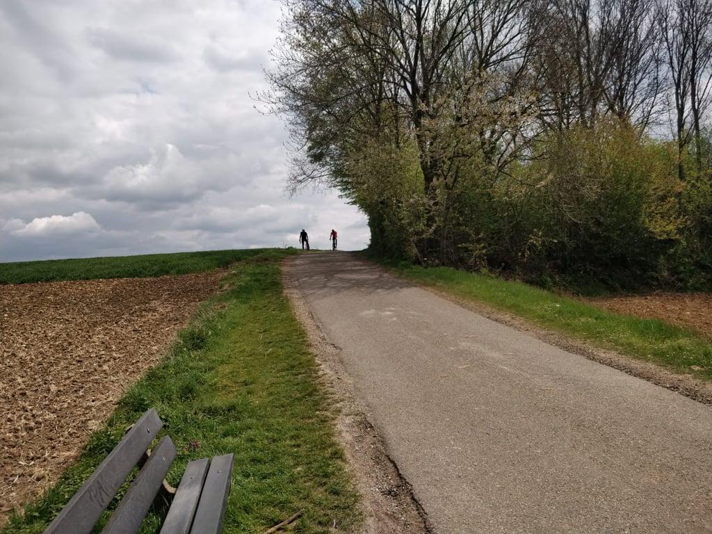 Fromberg Profiel van de beklimming