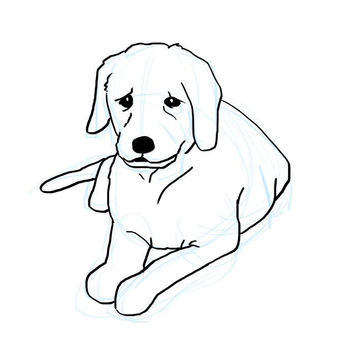 Sad Puppy Sad Dog Drawing Easy Novocom Top