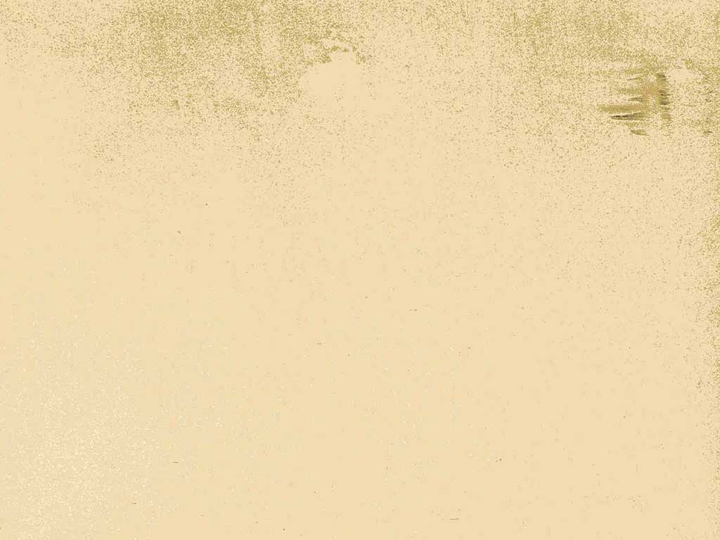 Interior Color Plaster