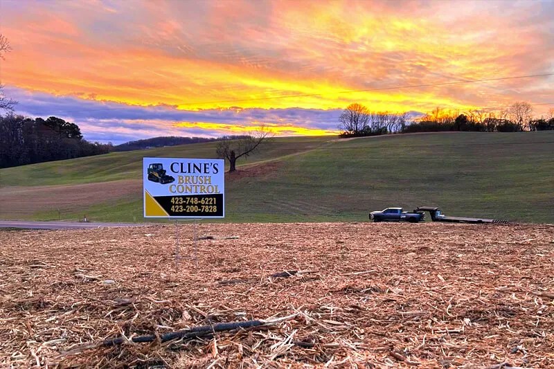 Understanding Forestry Mulching A Land Owner's Guide Cline's Brush