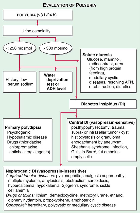 Fluid and Electrolyte Imbalances and AcidBase Disturbances Case