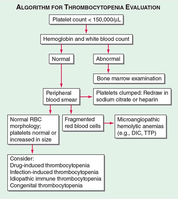 Herbs and supplements for weight loss, integrative medicine nyc, herbal