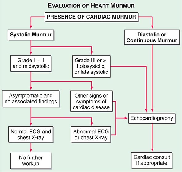 Physical Examination of the Cardiovascular System Clinical Gate