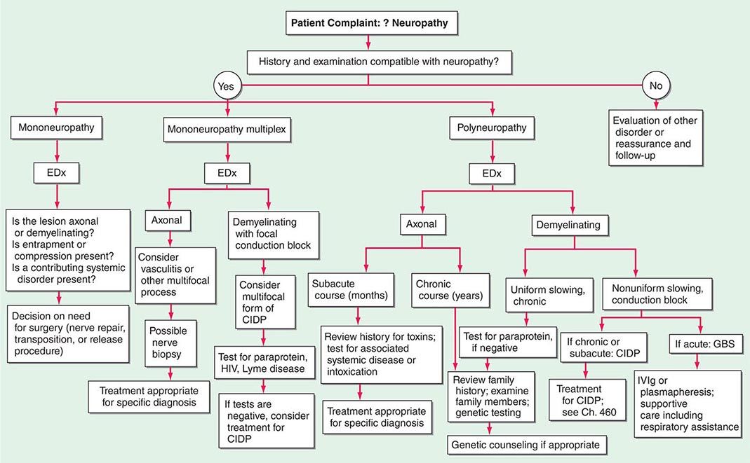 Peripheral Neuropathy Clinical Gate