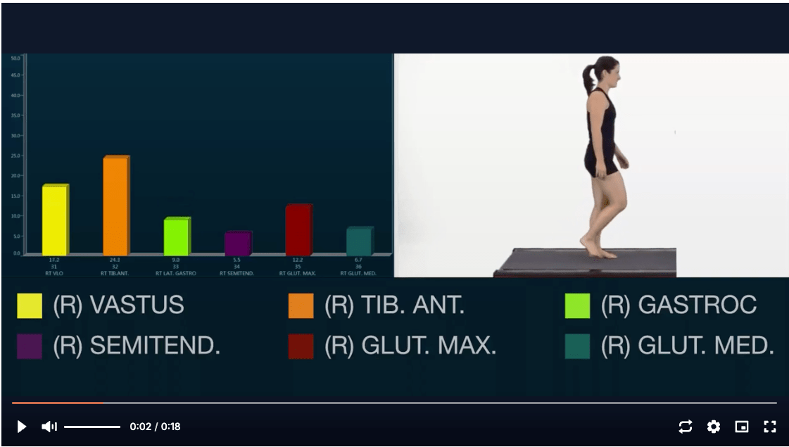 Physical Therapy Education Interactive Learning for Students(04)