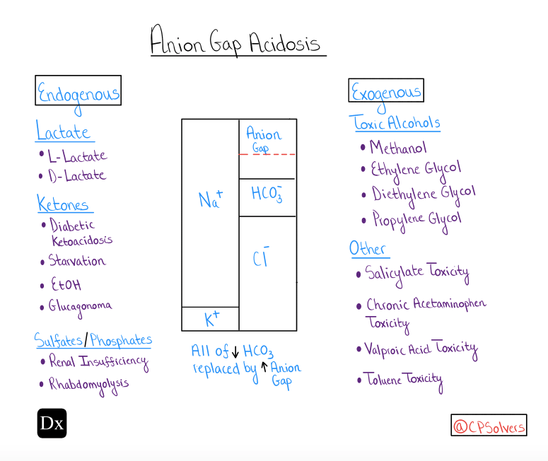 Dx Schema Anion gap metabolic acidosis The Clinical Problem Solvers
