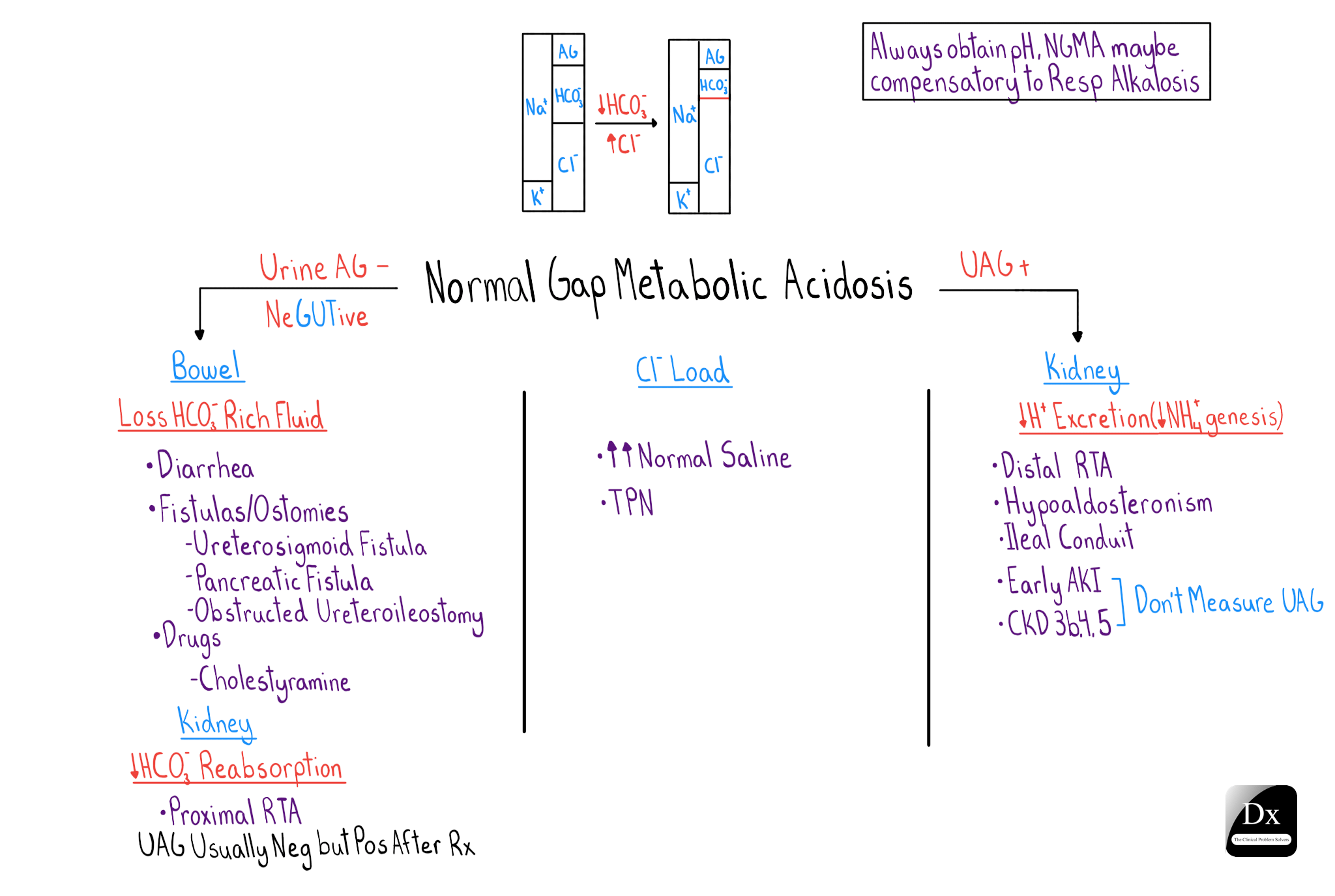 Dx Schema Metabolic Acidosis The Clinical Problem Solvers