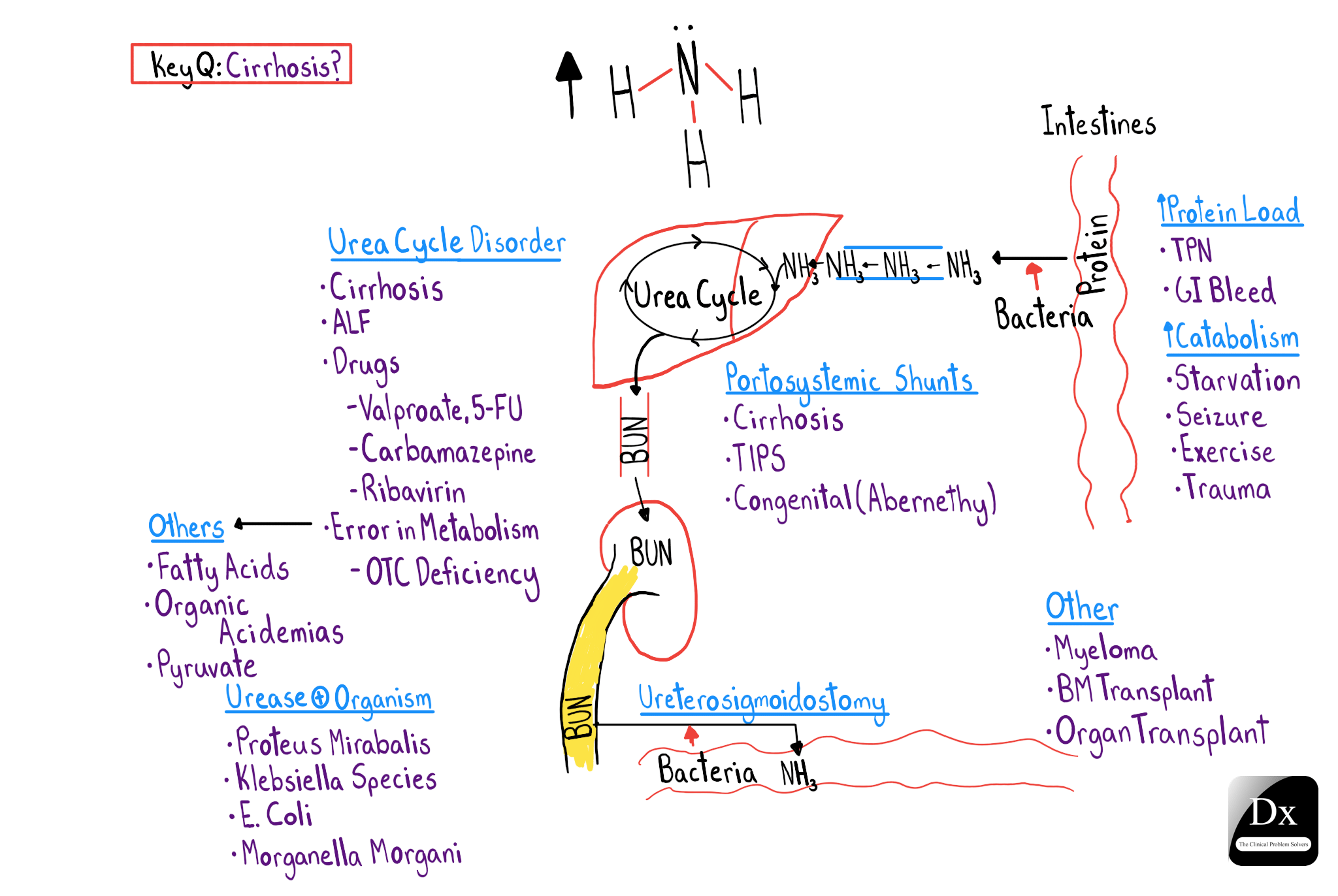 WHY IS HYPERAMMONEMIA DANGEROUS visual data 6