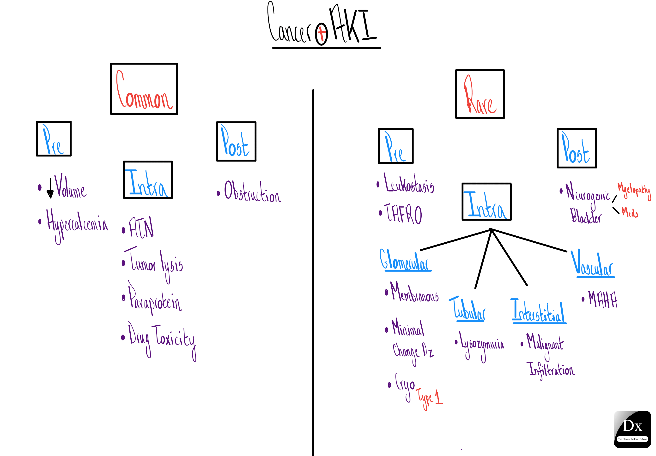 AKI and cancer The Clinical Problem Solvers