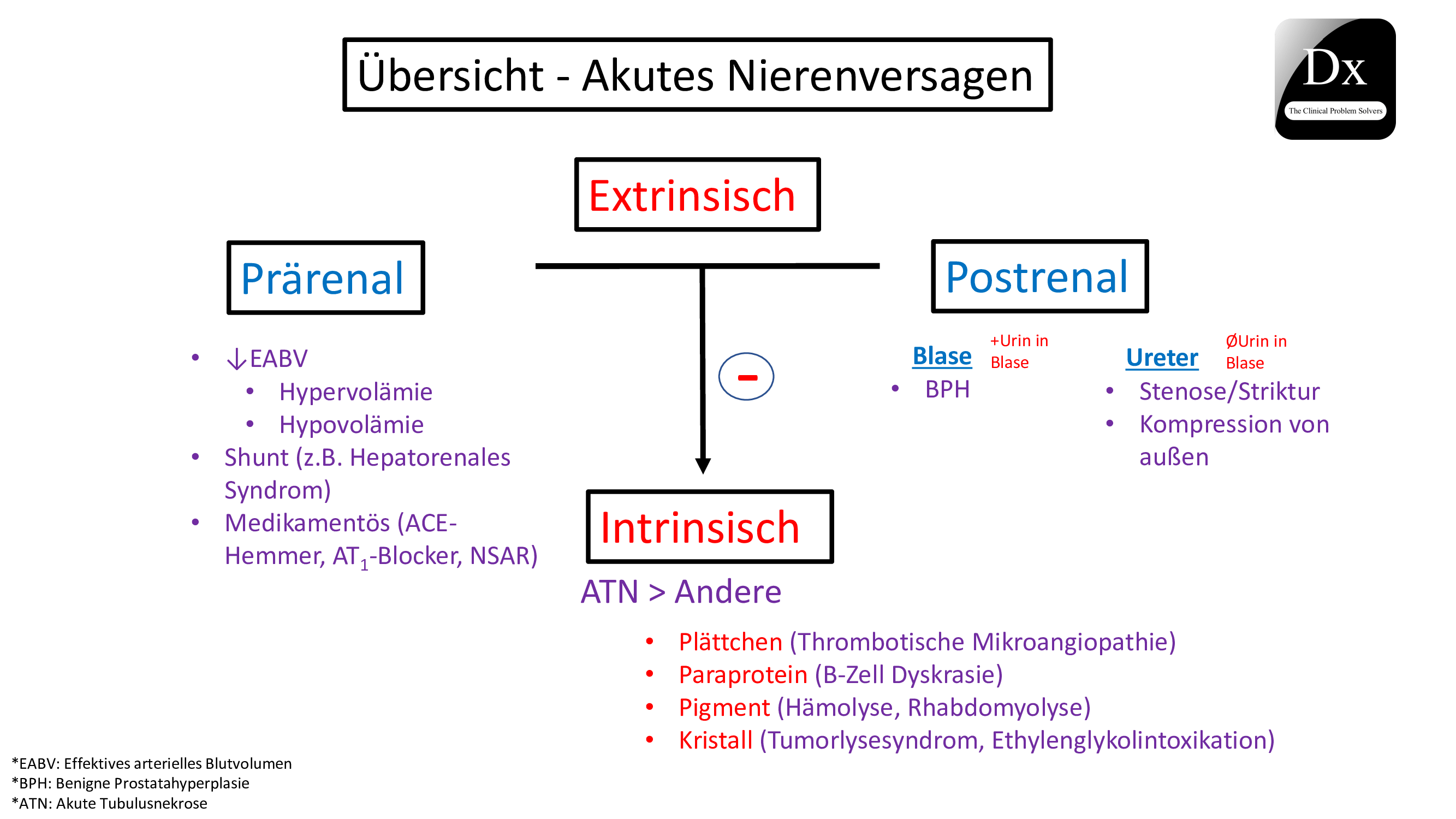 overviewAKI The Clinical Problem Solvers