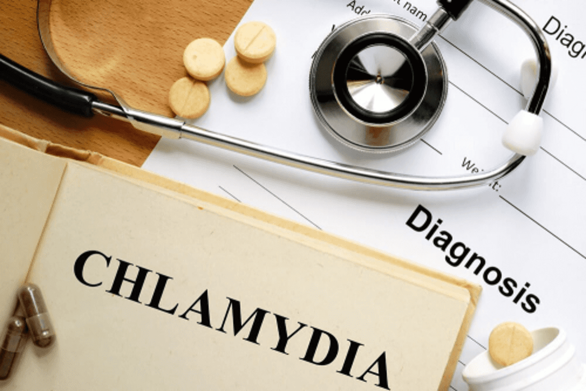 La chlamydia une maladie en pleine expansion en Europe