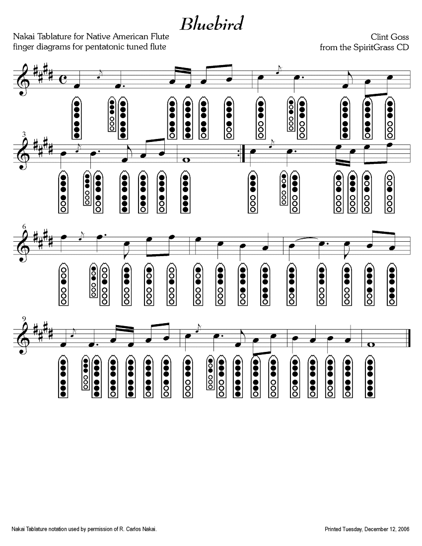 Clint Goss Music Facilitation and World Flutes Resources