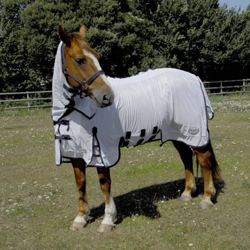 Rhinegold Sahara Full Neck Combo Fly Rug White Clip Clop
