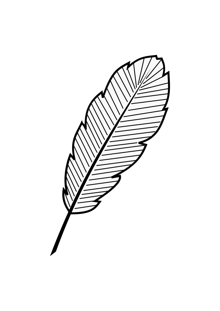 feathers Clip Art Library