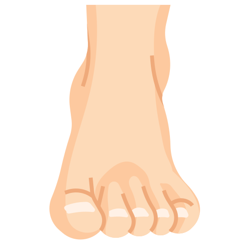 960+ Foot Xray Illustrations, RoyaltyFree Vector Graphics & Clip Clip Art Library