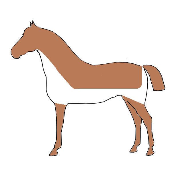 Clipping Your Horses For Winter Clip Art Library
