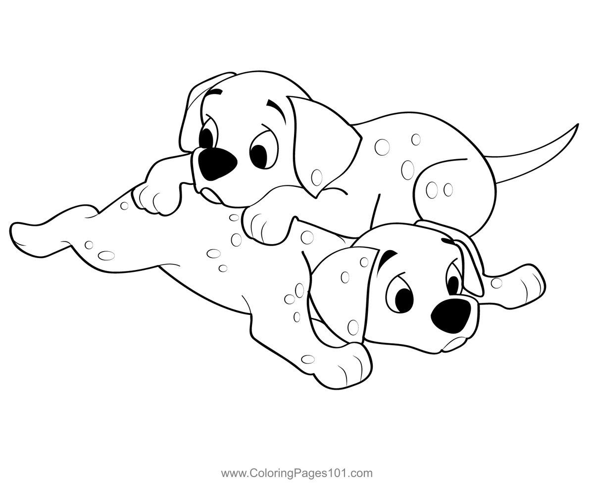 Portrait Of Two Cute Labrador Puppies Isolated Over White Clip Art