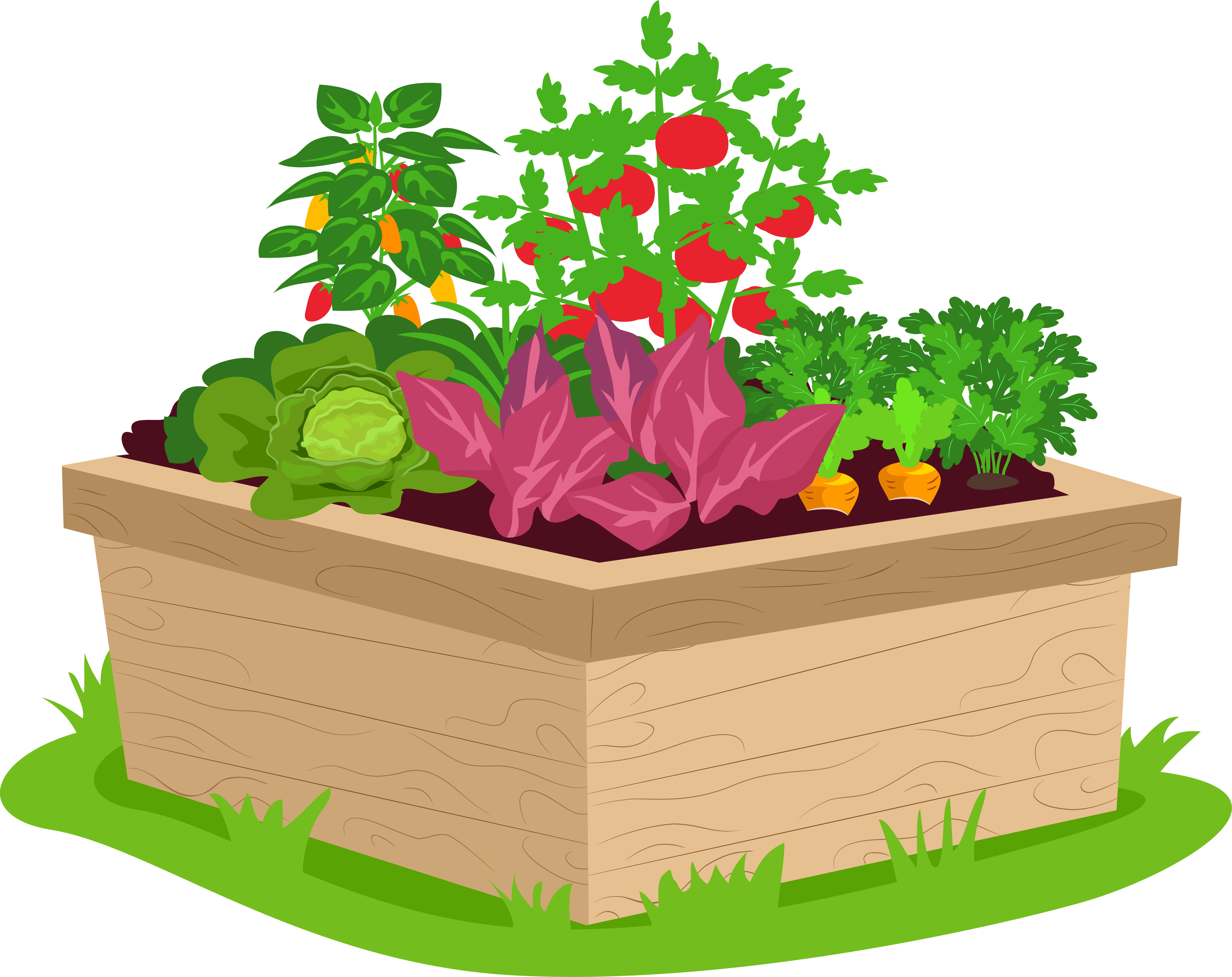 Wooden box with plants clipart. Flowers in garden boxes Clip Art Library