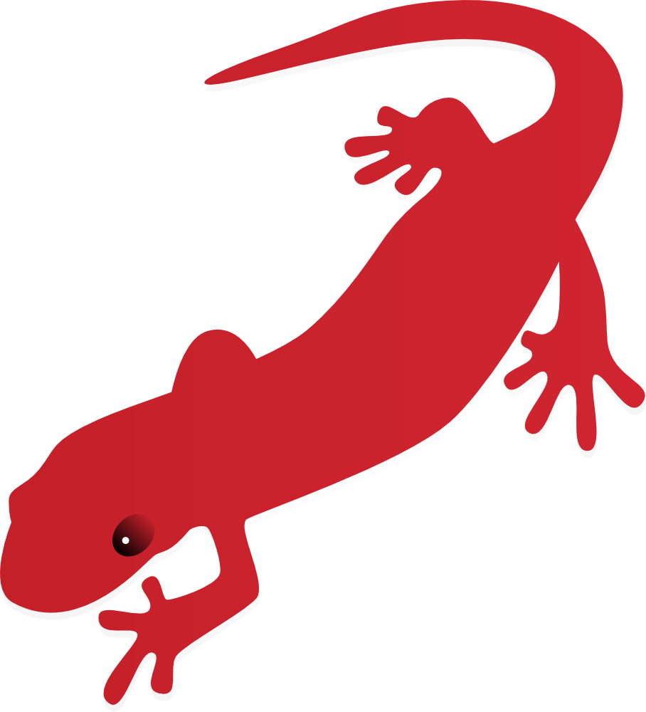 3,400+ Salamander Illustrations, RoyaltyFree Vector Graphics Clip