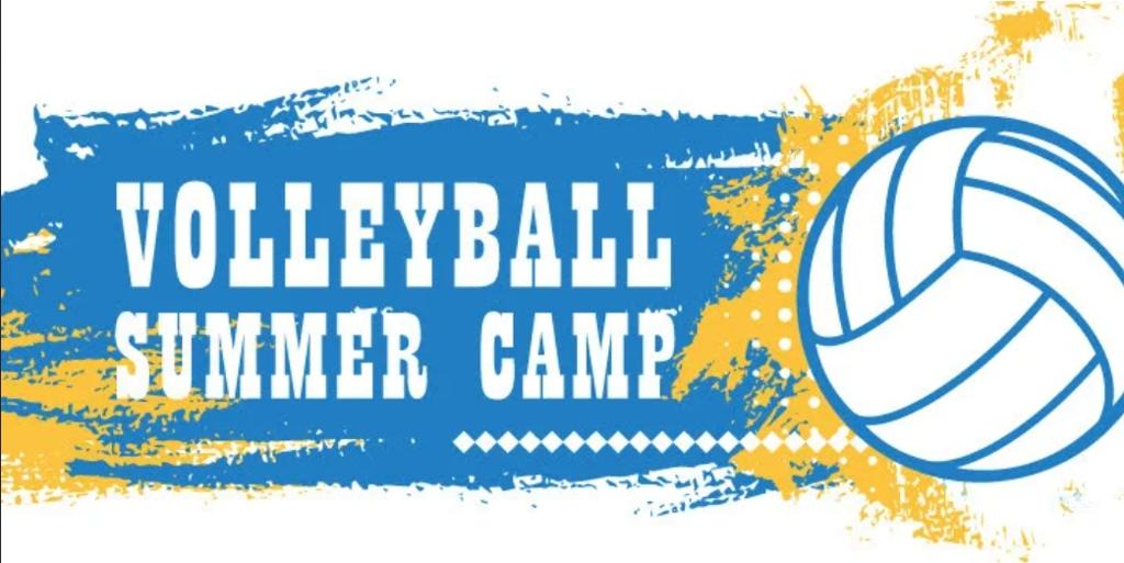 Summer Volleyball Layouts and Clip Art for Heat Transfers Clip Art